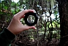 Thumbnail image for Same Old Story, Brand New Perspective